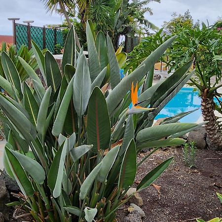 Oasis Hill Botanical Garden Villa Икод де лос Винос Екстериор снимка
