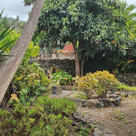 Oasis Hill Botanical Garden Villa Икод де лос Винос Екстериор снимка