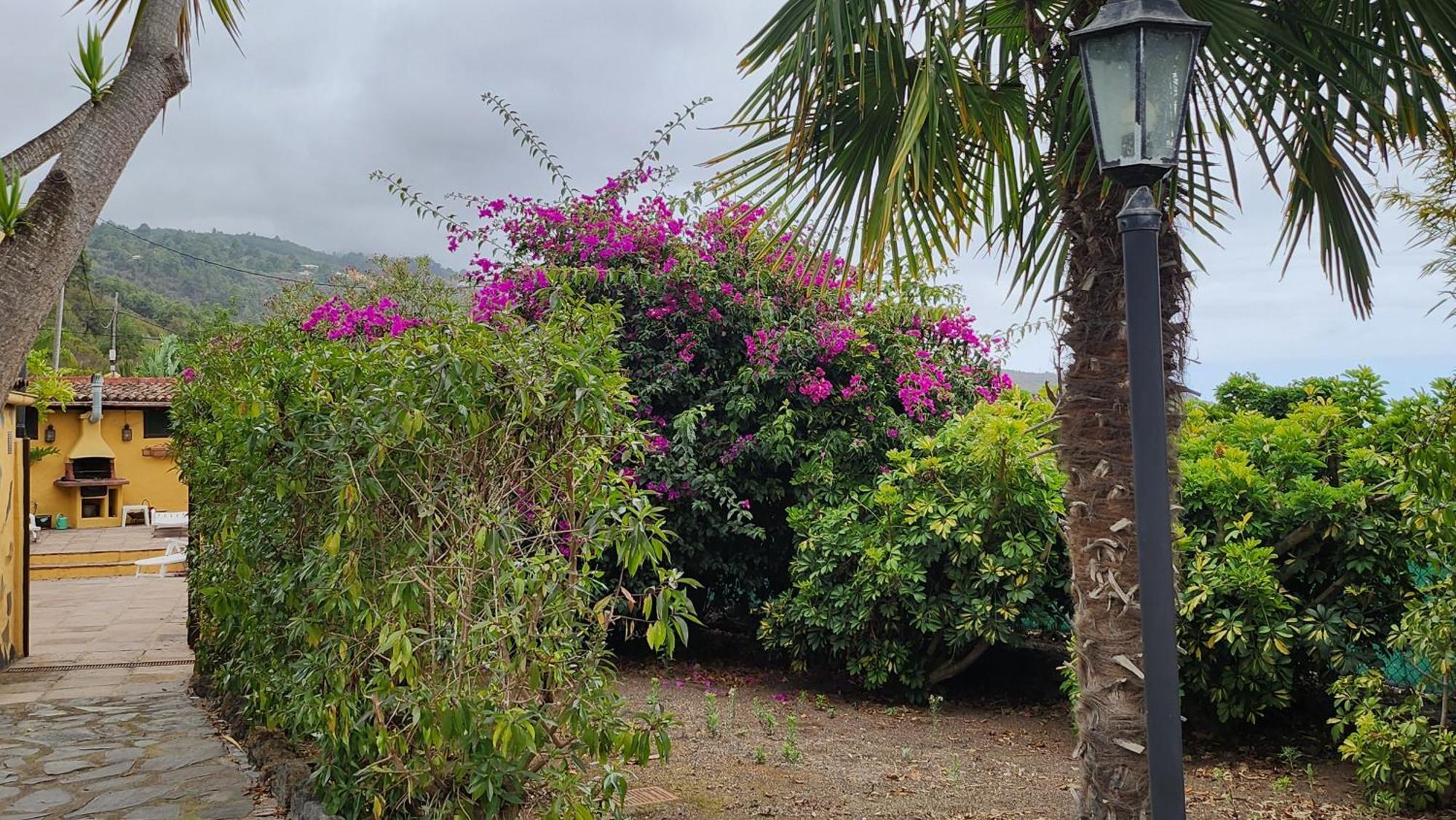 Oasis Hill Botanical Garden Villa Икод де лос Винос Екстериор снимка