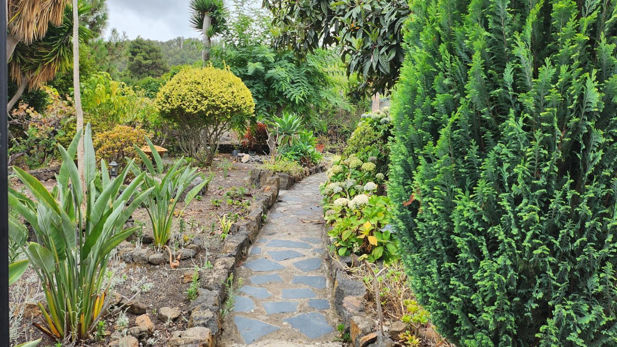 Oasis Hill Botanical Garden Villa Икод де лос Винос Екстериор снимка