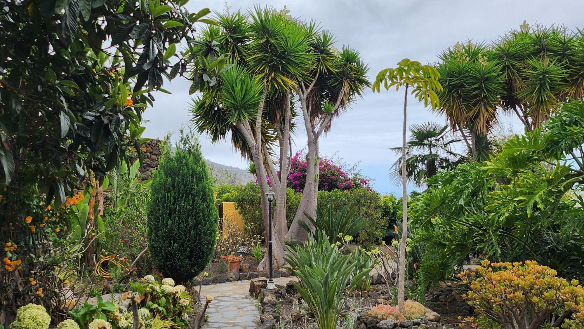 Oasis Hill Botanical Garden Villa Икод де лос Винос Екстериор снимка