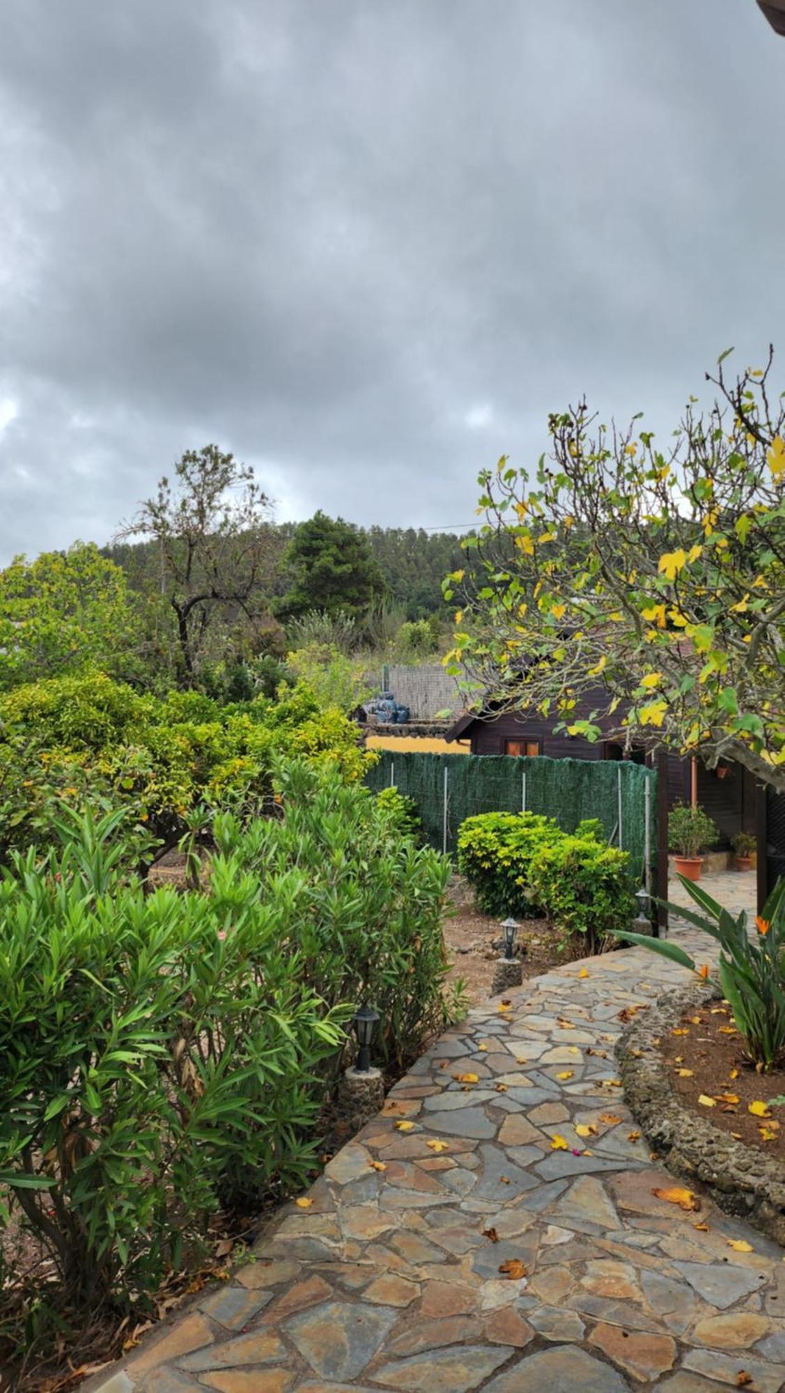 Oasis Hill Botanical Garden Villa Икод де лос Винос Екстериор снимка