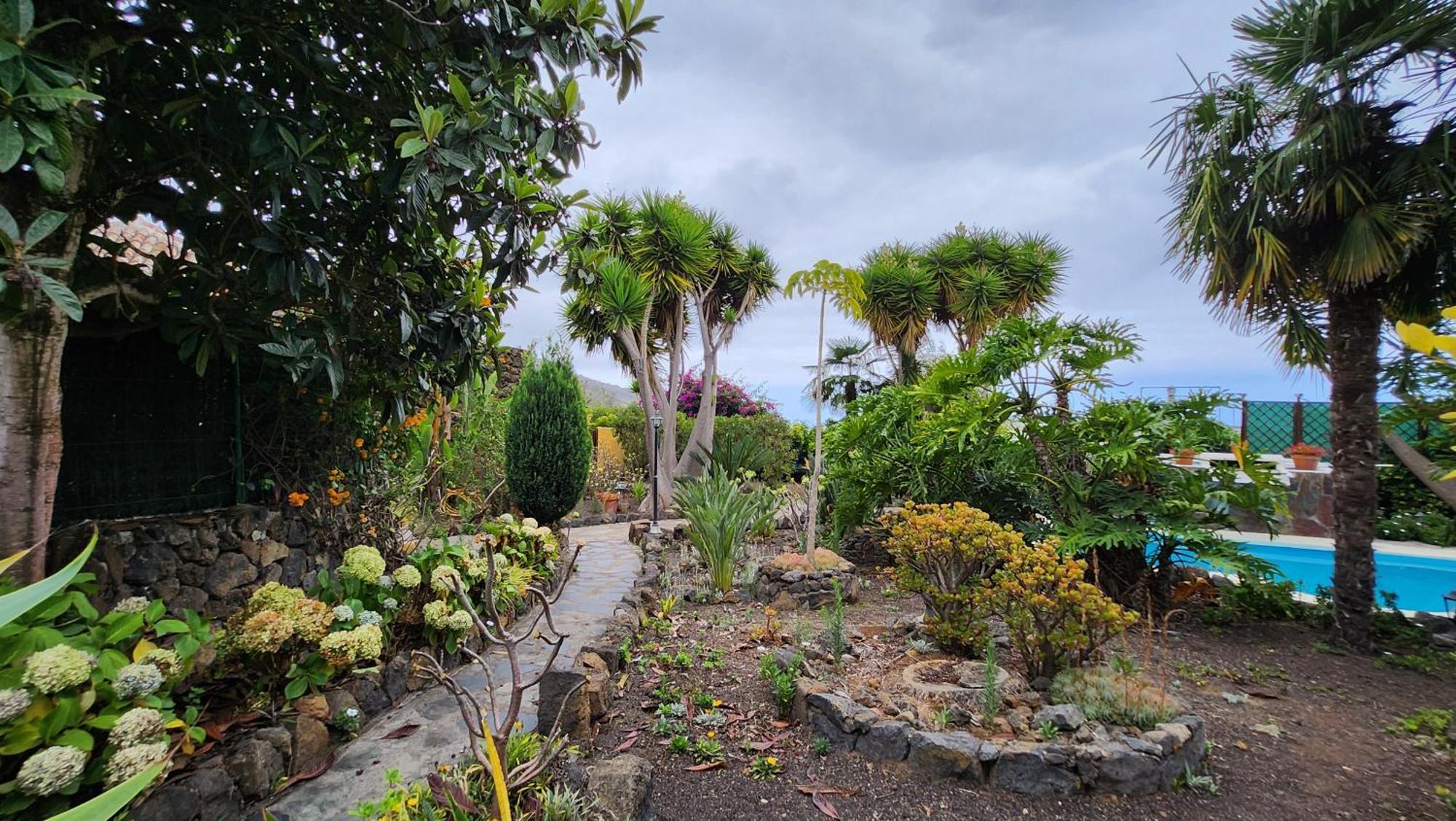 Oasis Hill Botanical Garden Villa Икод де лос Винос Екстериор снимка