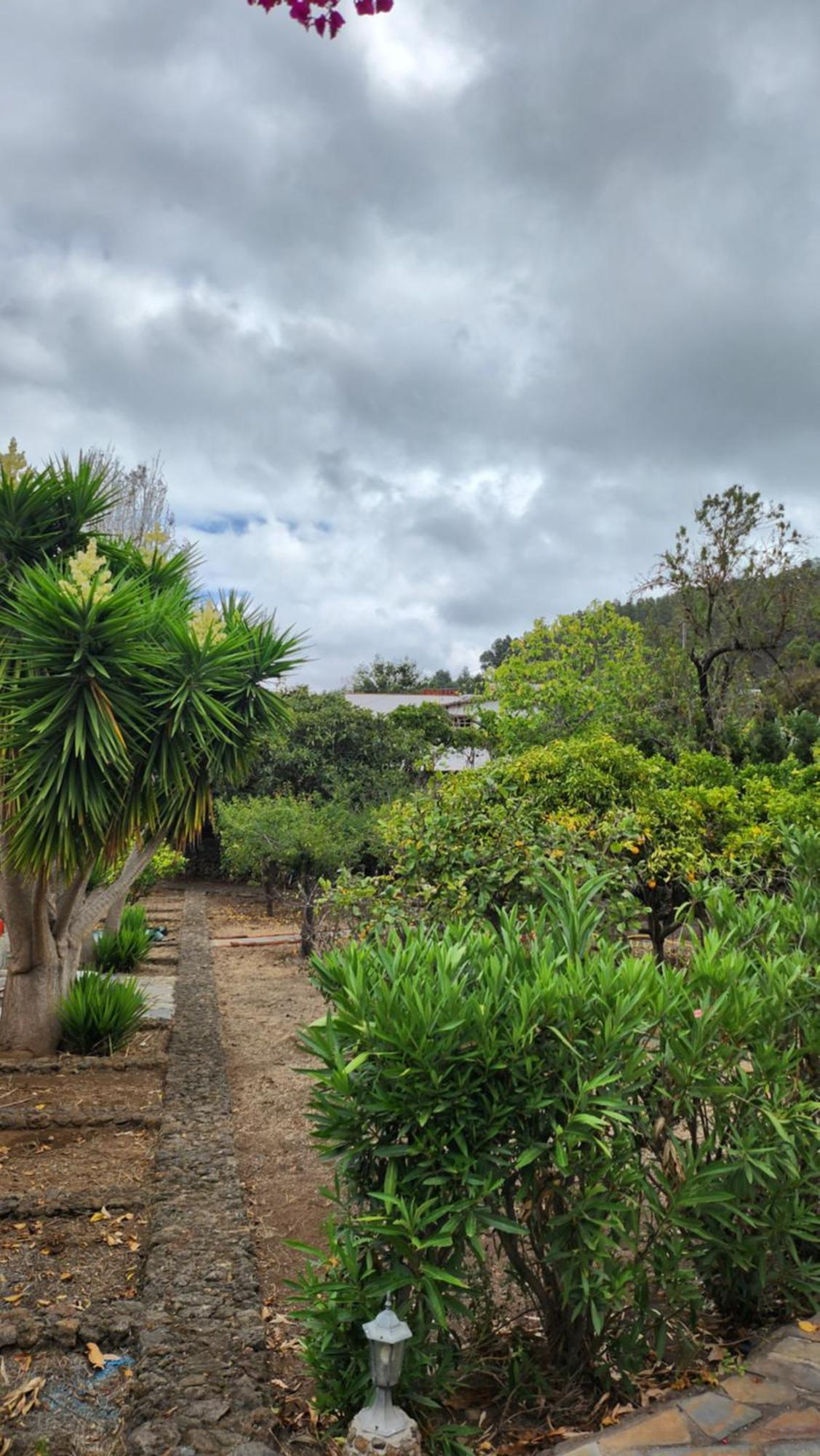 Oasis Hill Botanical Garden Villa Икод де лос Винос Екстериор снимка