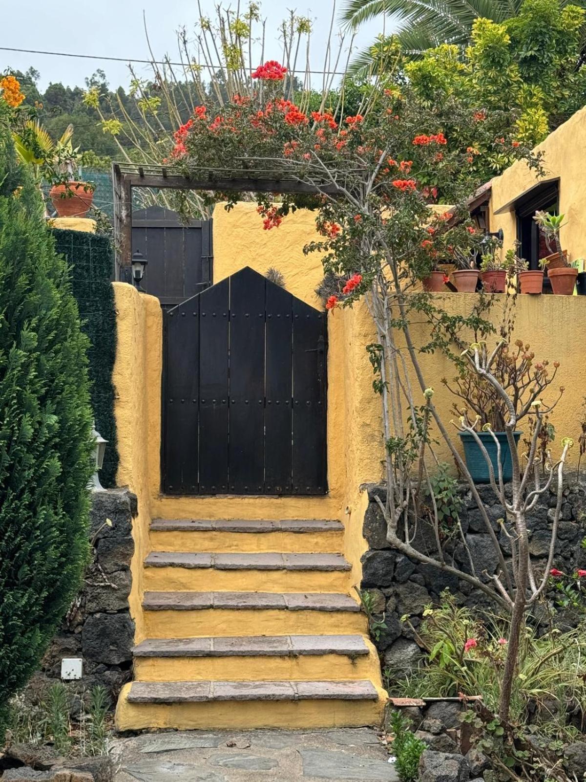 Oasis Hill Botanical Garden Villa Икод де лос Винос Екстериор снимка